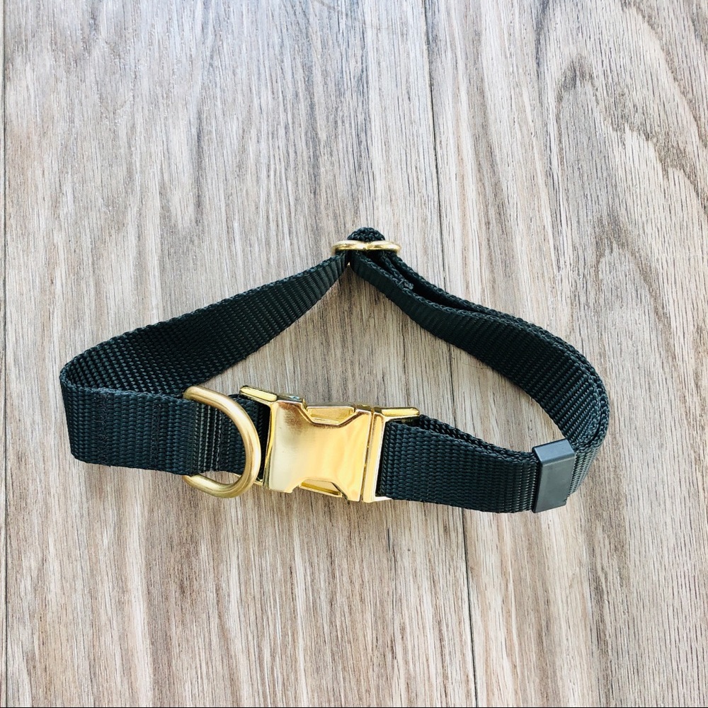 Solid Nylon a dog Collar - New